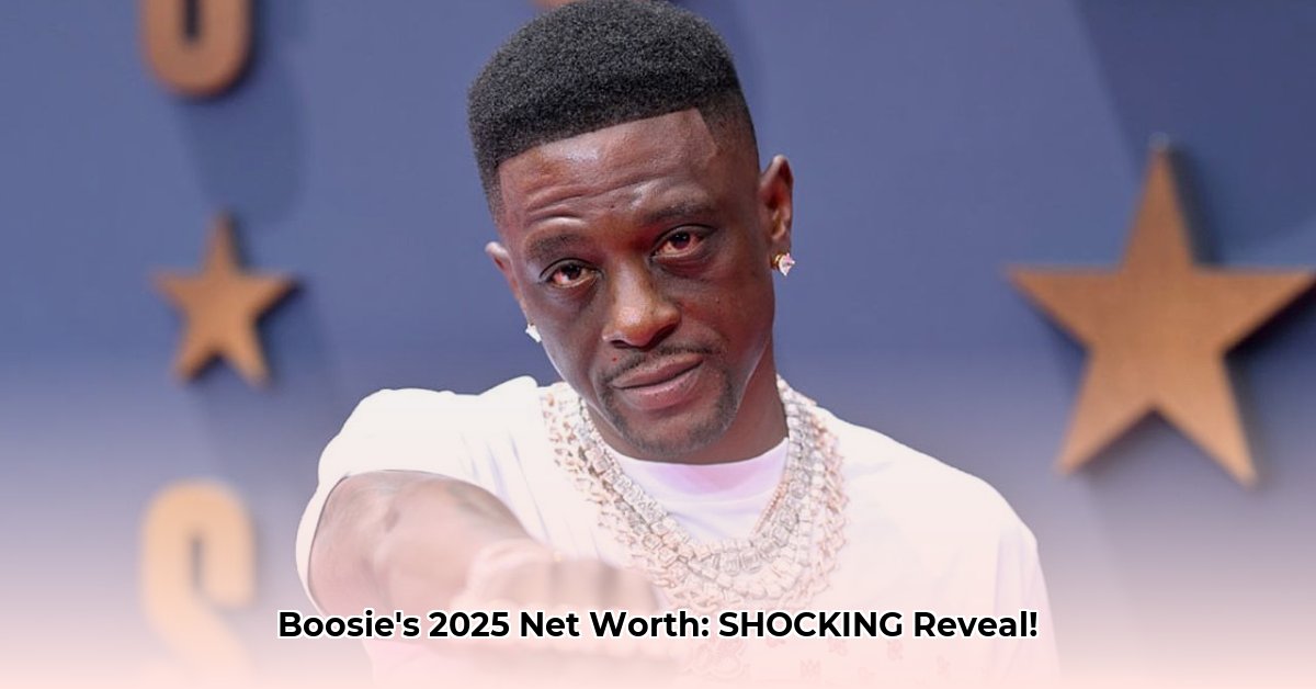 what-is-boosie-s-net-worth